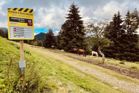 Le Vernon N 406 - 2P5, Appartement 5 personnes à Chamrousse - Photo 28