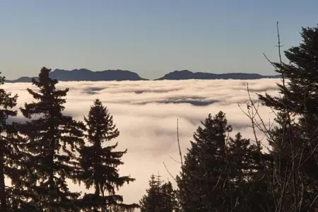 Le Vernon N 406 - 2P5, Appartement 5 personnes à Chamrousse - Photo 35