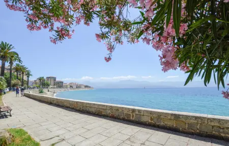 Location Appartement 2 personnes à Sarrola Carcopino - Photo 6