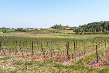 Domaine résidentiel de Plein Air La Pinède 1, Retraite en bungalow au Cap d'Agde - Photo 14