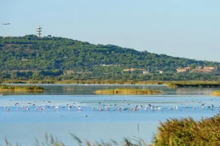Domaine résidentiel de Plein Air La Pinède 1, Retraite en bungalow au Cap d'Agde - Photo 19