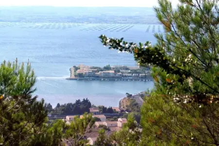 Domaine résidentiel de Plein Air La Pinède 1, Retraite en bungalow au Cap d'Agde - Photo 23