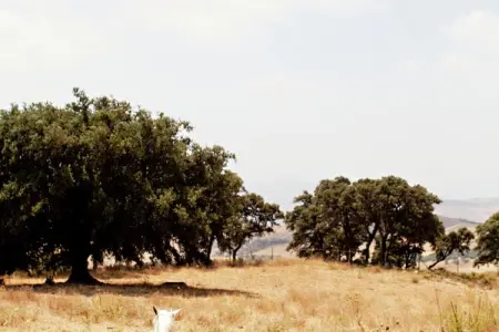 La Villa de Gema, Maison de campagne rustique avec piscine privée et vue imprenable sur le Torcal de Antequera - Photo 32