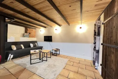 Appartement à Toulouse, La Romance - Loft Ancien au coeur de Toulouse - L1071099