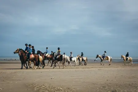 Ferrel - 0102, Appartement 6 personnes à Sint Idesbald - Photo 33