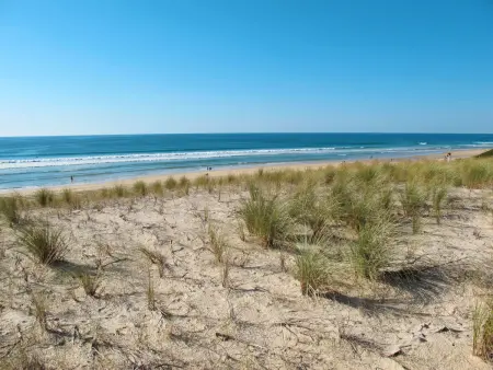 Résidence Plage Océane, Maison 4 personnes à Biscarrosse - Photo 20