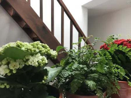 The Brewmasters House 4  Estúdio Deluxe, Appartement 2 personnes à Porto - Photo 17