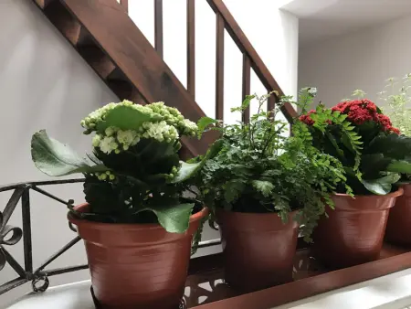 The Brewmasters House 1  Estúdio Superior, Appartement 2 personnes à Porto - Photo 12