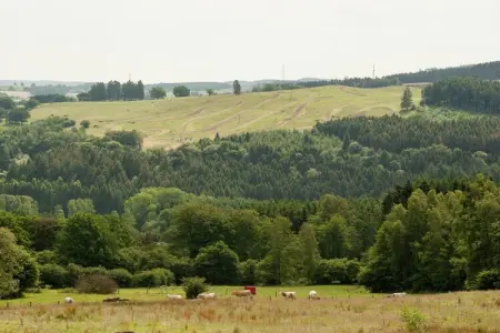 La Fausse Epine, Maison de vacances rustique, Baneux - Photo 22