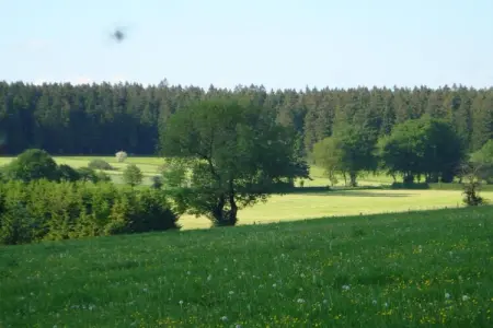 La Fausse Epine, Maison de vacances rustique, Baneux - Photo 37
