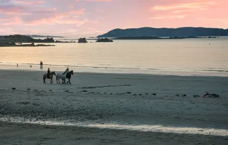 Location Maison 8 personnes à Penvénan - Photo 29