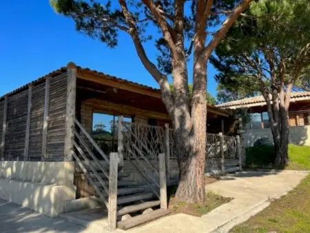 Chalet Simple, Maison 6 personnes à Pietracorbara - Photo 15