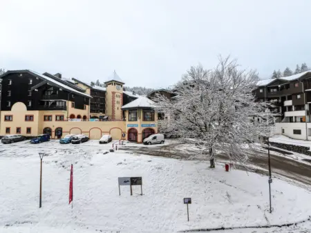 Praz des Esserts, Appartement 6 personnes à Morillon - Photo 6