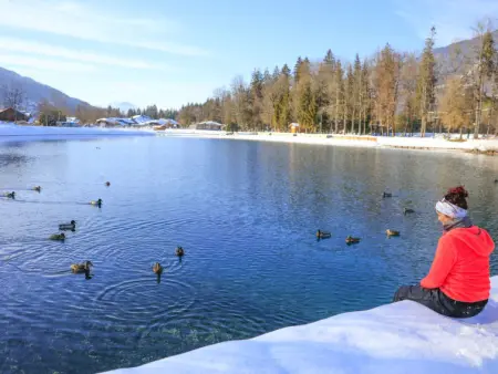 Les Eterlous, Appartement 4 personnes à Morillon - Photo 16