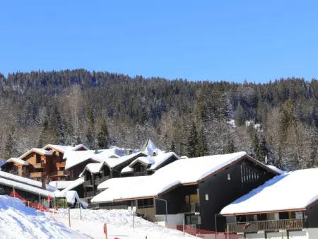 Les Eterlous, Appartement 4 personnes à Morillon - Photo 18