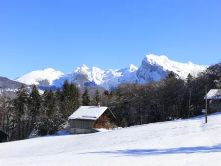 Les Eterlous, Appartement 4 personnes à Morillon - Photo 19