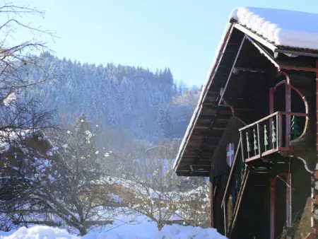 Les Eterlous, Appartement 4 personnes à Morillon - Photo 21