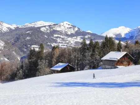 Les Eterlous, Appartement 4 personnes à Morillon - Photo 26
