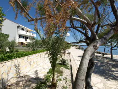 Maras, Appartement 6 personnes à Zadar - Photo 9