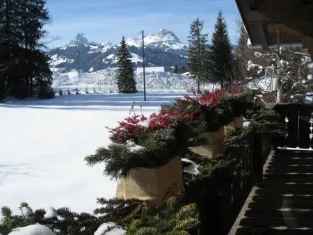 Chalet Nyati, Appartement 4 personnes à Gstaad - Photo 5