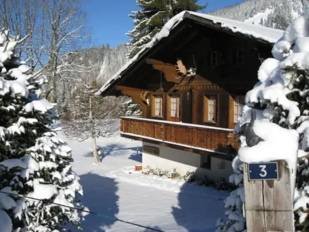 Chalet Nyati, Appartement 4 personnes à Gstaad - Photo 6
