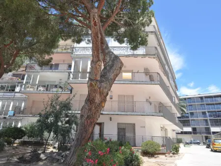 Charmant appartement à Roses à 300m de la plage avec terrasse, clim, cuisine équipée et TV satellite - Photo 32