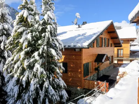 Fer à Cheval, Chalet 6 personnes à Châtel - Photo 1