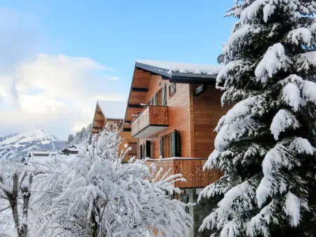Fer à Cheval, Chalet 6 personnes à Châtel - Photo 1