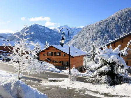 Fer à Cheval, Chalet 6 personnes à Châtel - Photo 28
