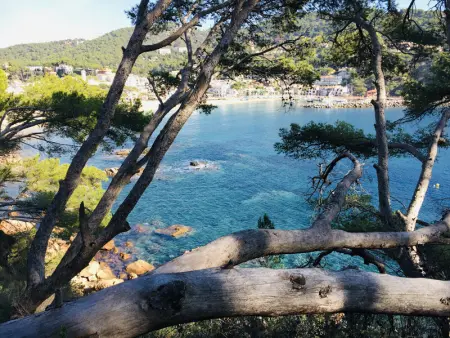 Appartement rénové à Calella - piscine, proche plage, terrasse, parking inclus - Photo 22