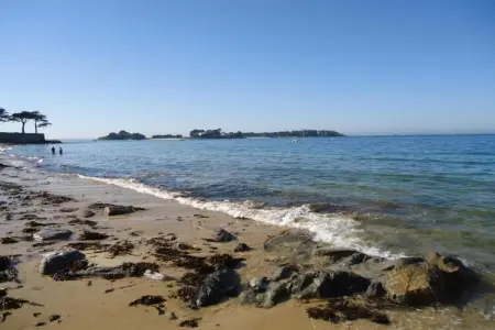 Le Manoir de Coatanscour, Manoir du Lac à Plourin-lès-Morlaix - Photo 35