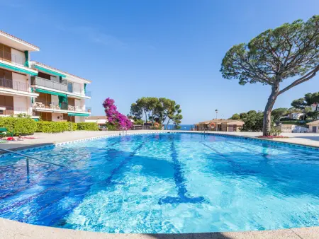 Appartement familial avec piscine, proche plage, animaux admis - Photo 6