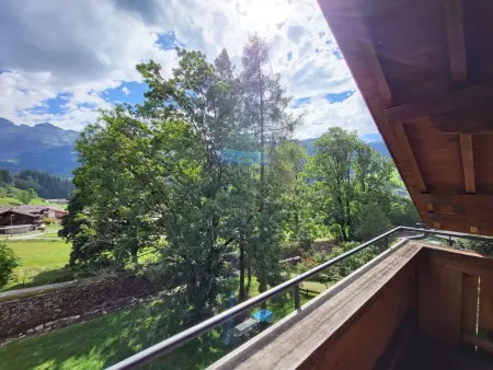 Wildbach, Appartement 4 personnes à Lenk - Photo 10