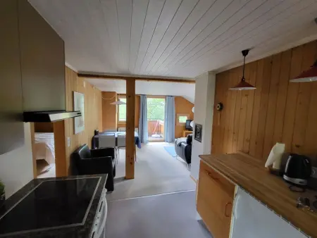 Wildbach, Appartement 4 personnes à Lenk - Photo 16