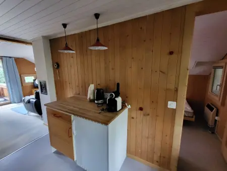 Wildbach, Appartement 4 personnes à Lenk - Photo 19