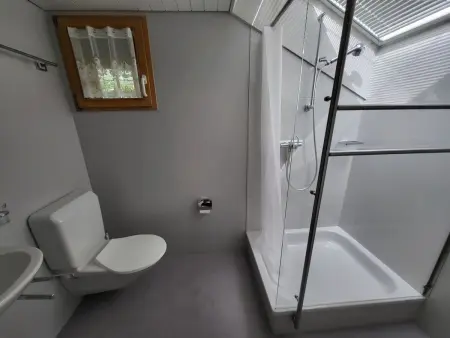 Wildbach, Appartement 4 personnes à Lenk - Photo 21