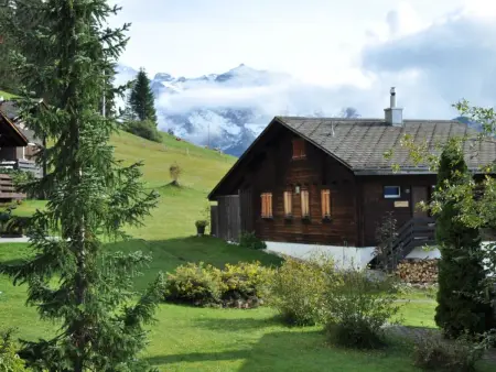 Sumpfbödeli, Appartement 6 personnes à Lenk - Photo 2