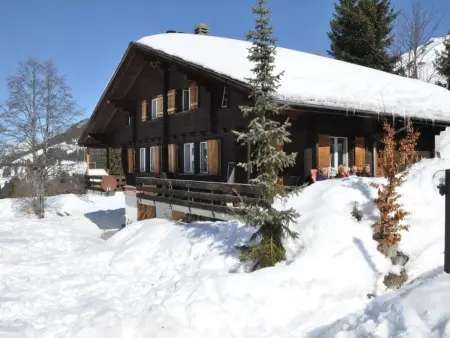 Sumpfbödeli, Appartement 6 personnes à Lenk - Photo 10