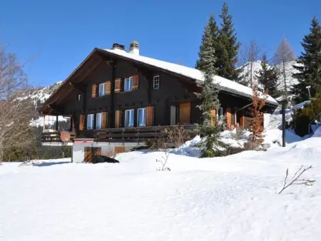 Sumpfbödeli, Appartement 6 personnes à Lenk - Photo 11