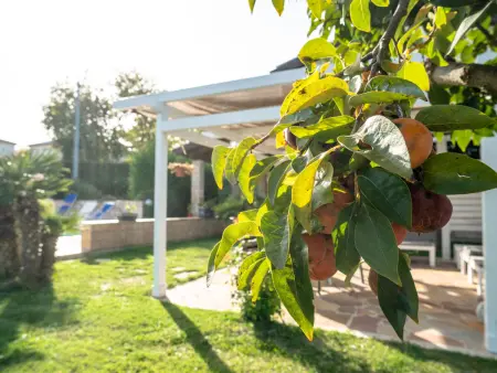 Rêve d'Or, Maison 5 personnes à Città Sant'Angelo - Photo 30