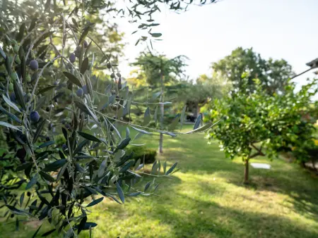 Rêve d'Or, Maison 5 personnes à Città Sant'Angelo - Photo 40