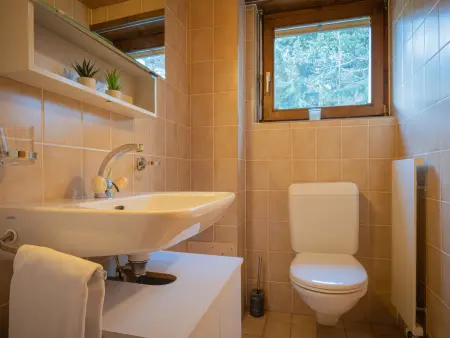 Austral 204, Appartement 4 personnes à Ovronnaz - Photo 13
