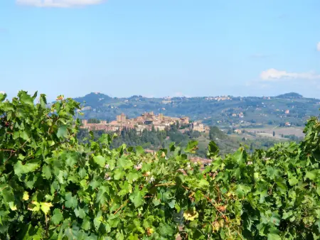 Podere Conte Francesco-Carla, Maison 4 personnes à Certaldo - Photo 39