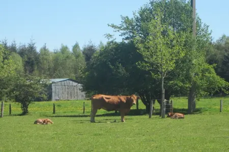 Petit pré, Retraite paisible à Ferrières - Photo 27
