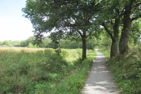 Petit pré, Retraite paisible à Ferrières - Photo 32