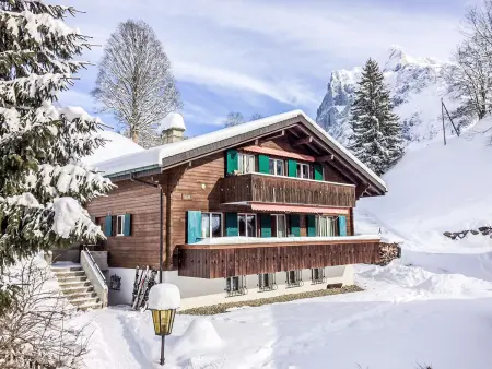 Chalet Bienli Mitte, Appartement 4 personnes à Grindelwald - Photo 1
