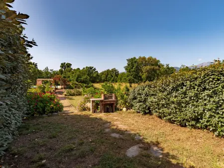 Gelormini, Villa 7 personnes à Ghisonaccia - Photo 39