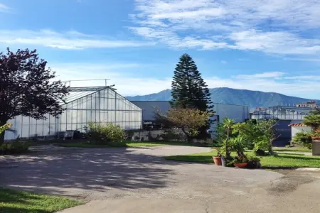 Menotti, Appartement moderne à Trecase avec jardin - Photo 9