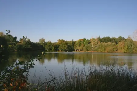 Gite La Forge de Bessous, Charmant cottage avec jardin à Ladignac-le-Long - Photo 28