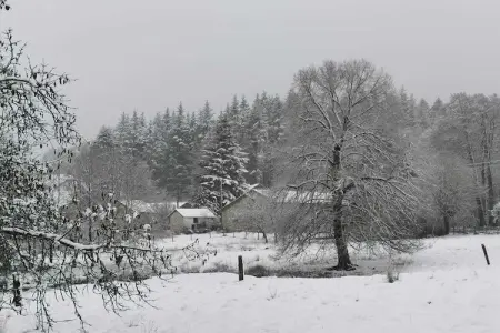 La Maison de Célestin, Séjour en bordure de forêt, Burtonville - Photo 32